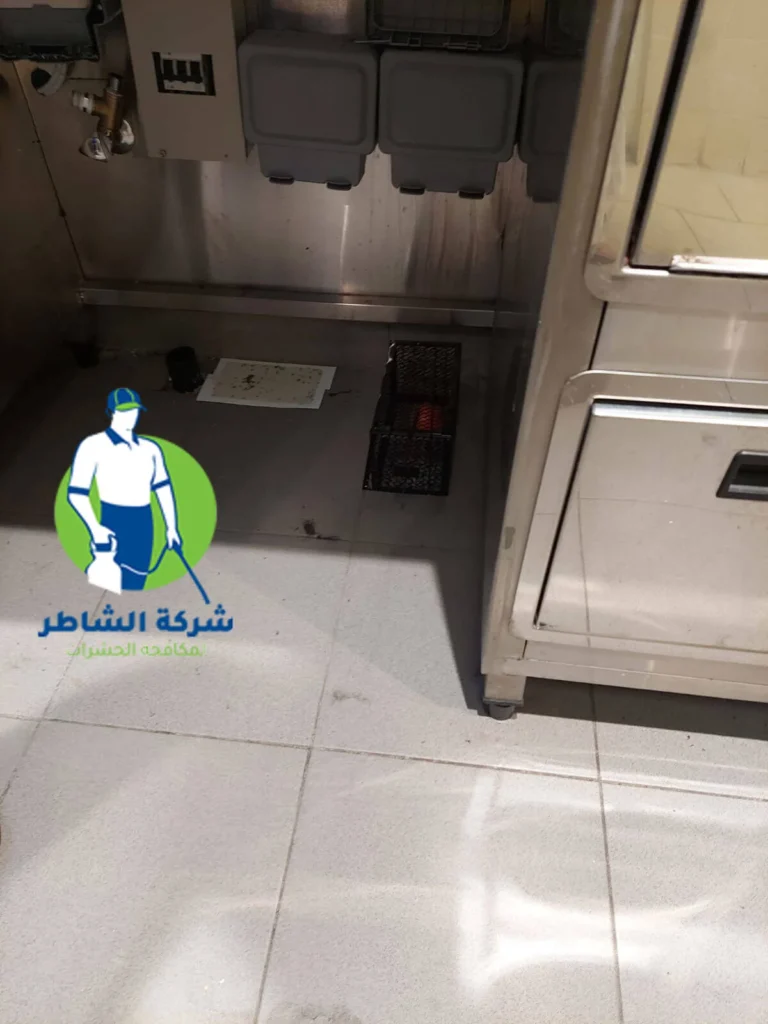 مكافحة الحشرات