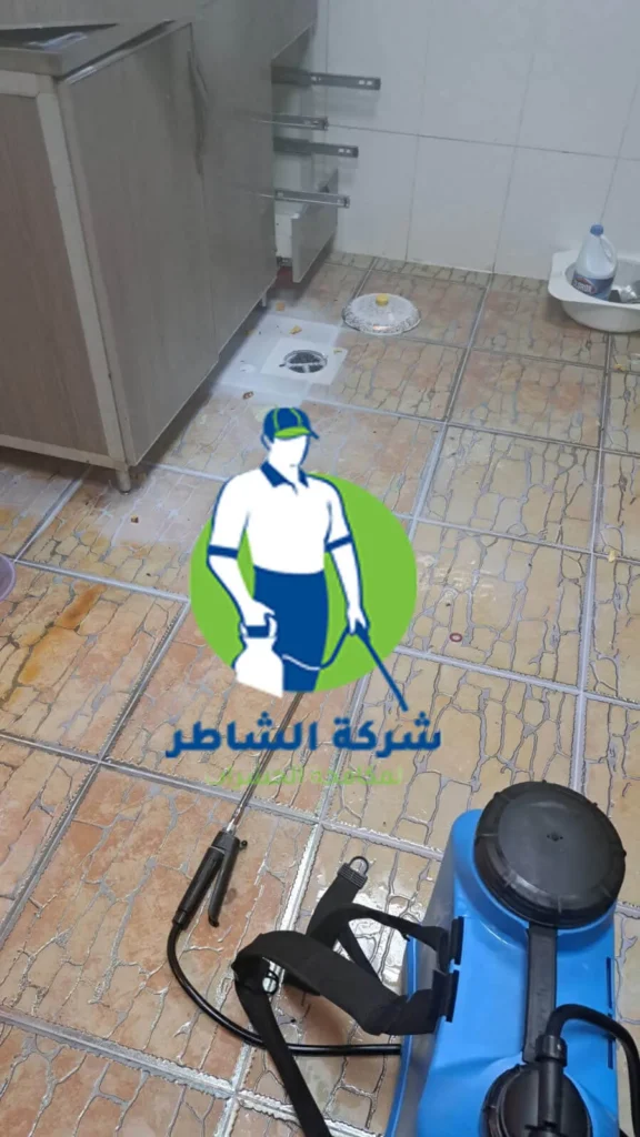 مكافحة النمل الابيض