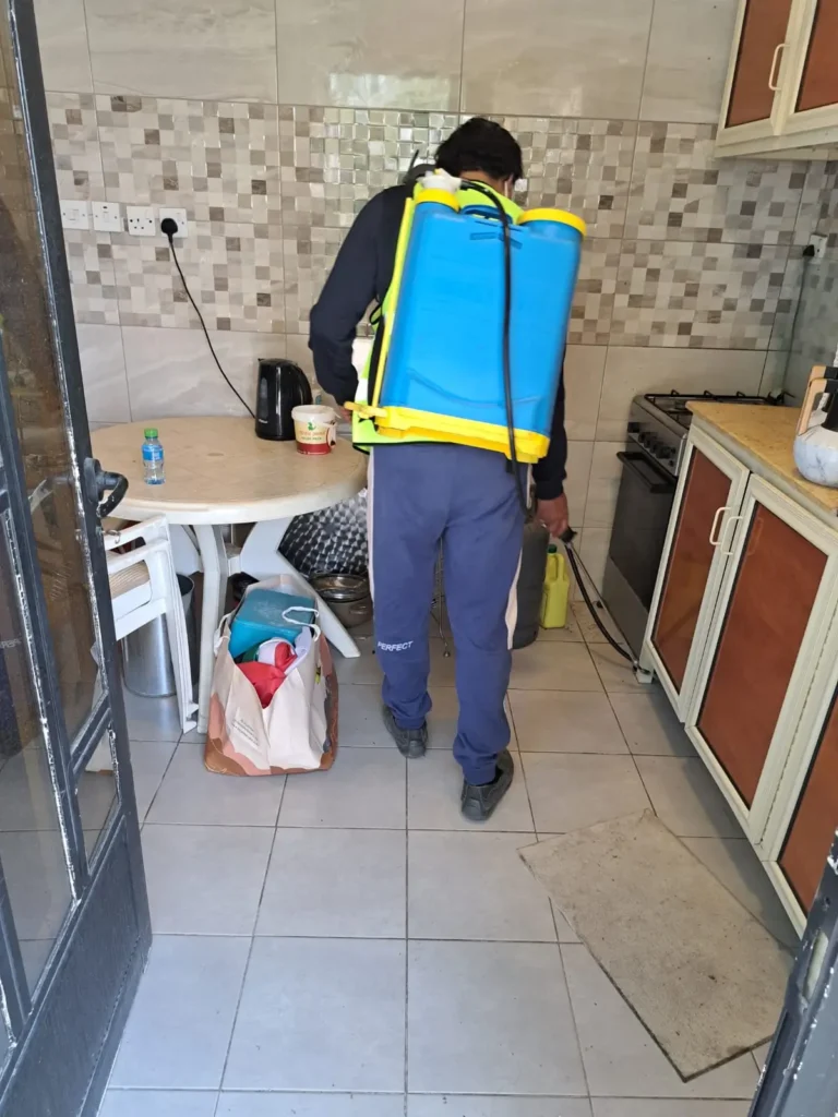 ابادة حشرات