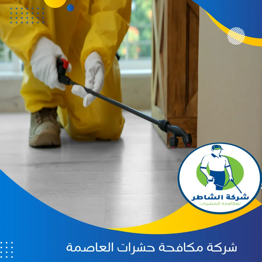 شركة مكافحة حشرات العاصمة
