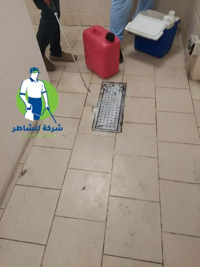 شركة مبيدات حشرية