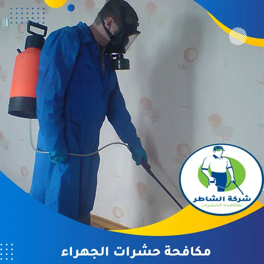 مكافحة حشرات الجهراء