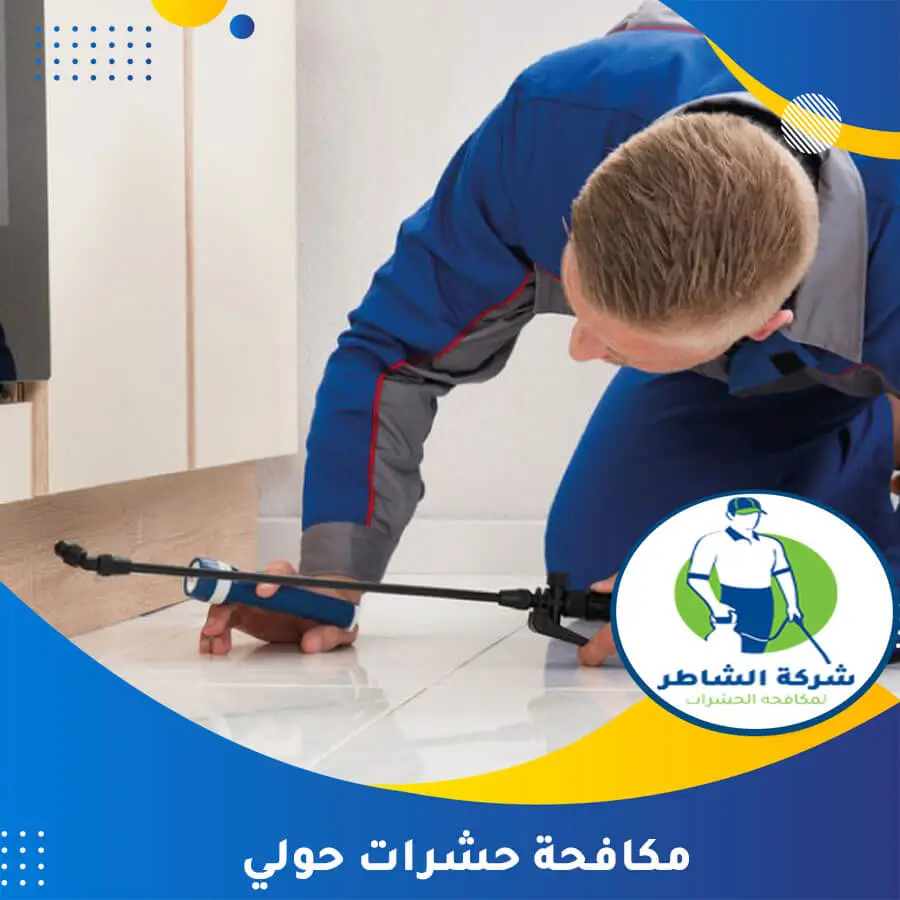 مكافحة حشرات حولي